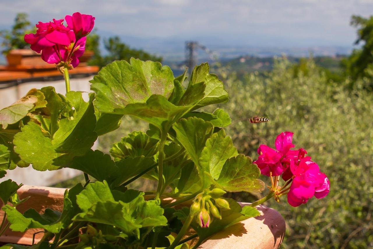 Poggio Della Roverella Country House Morlupo Exterior foto